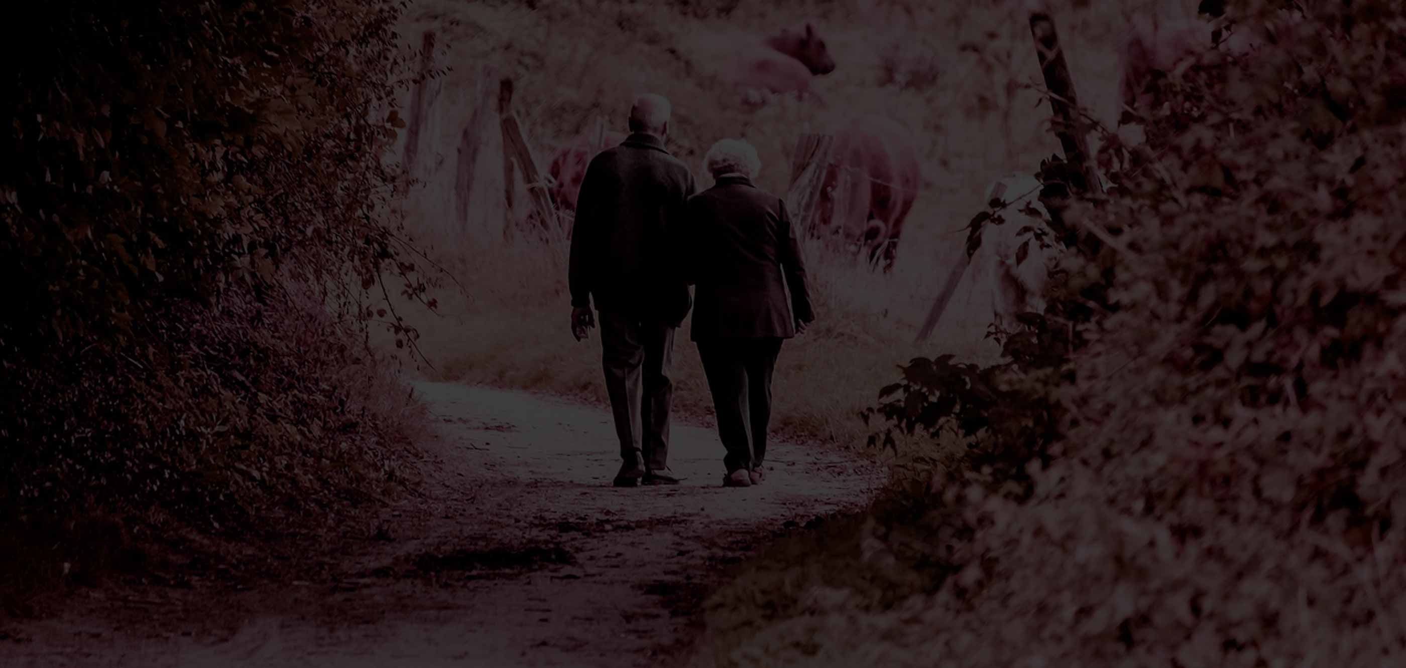 Elderly couple enjoying financial security
